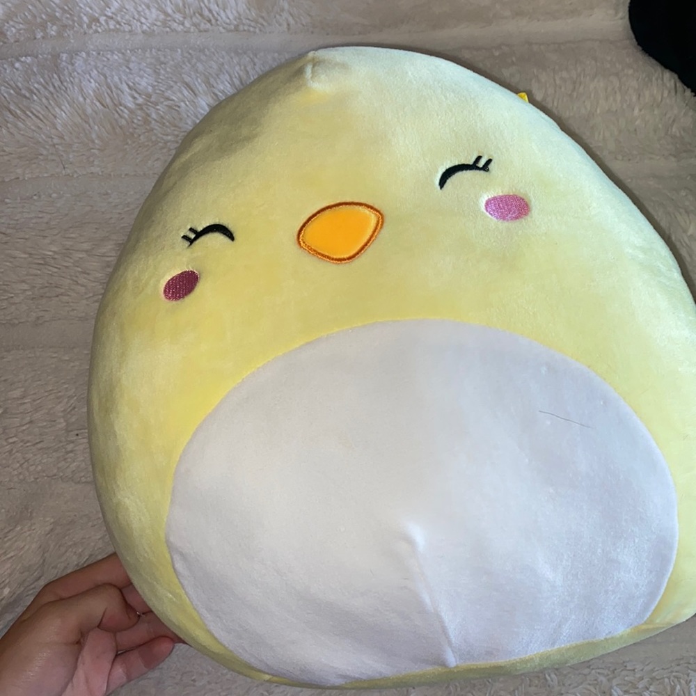 Chick 10” squishmallow